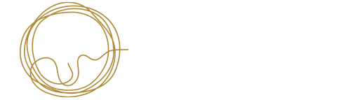 website logo